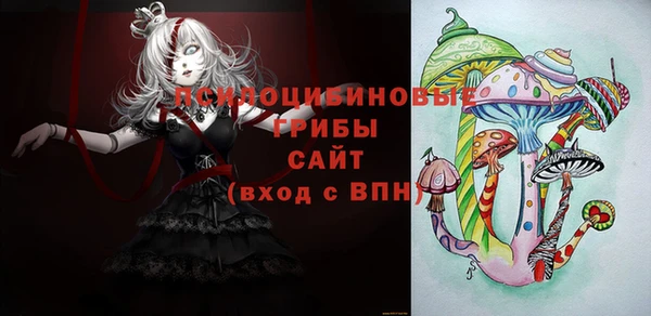 меф Осинники