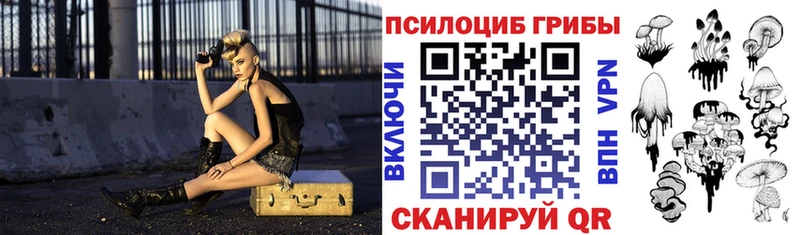 сколько стоит  Ужур  ссылка на мегу как зайти  Галлюциногенные грибы мицелий 